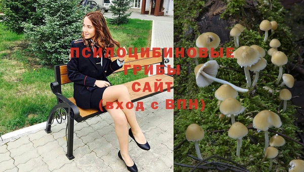 2c-b Заволжье