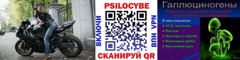 Купить  Райчихинск  Галлюциногенные грибы Psilocybine cubensis 